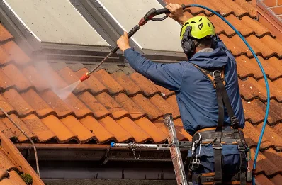 Démoussage et hydrofuge de toiture à Treignat